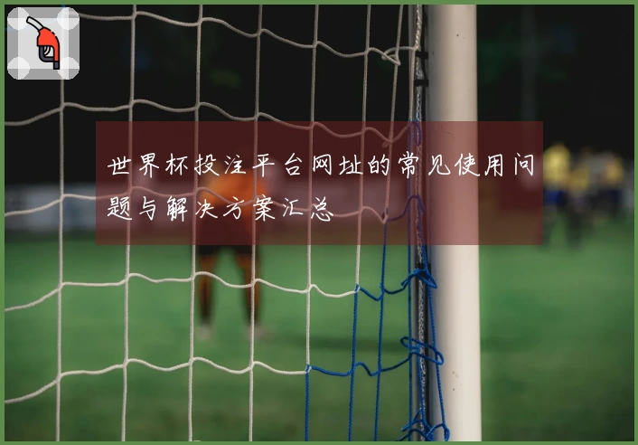 世界杯投注平台网址的常见使用问题与解决方案汇总