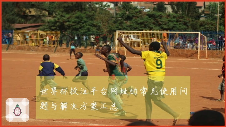 世界杯投注平台网址的常见使用问题与解决方案汇总