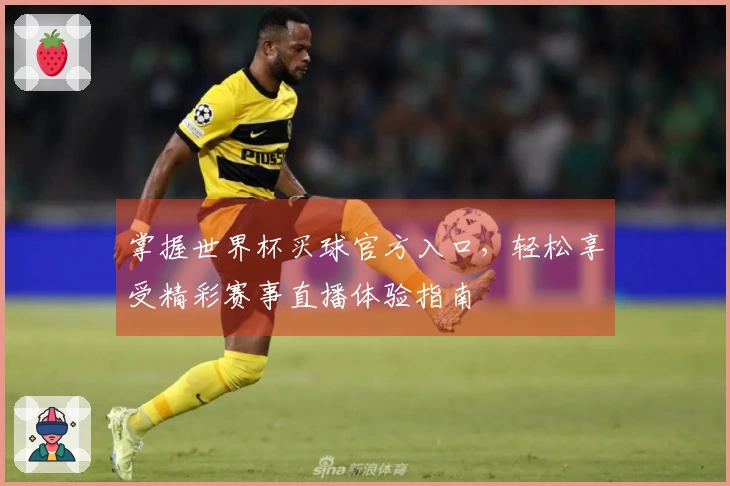 掌握世界杯买球官方入口，轻松享受精彩赛事直播体验指南