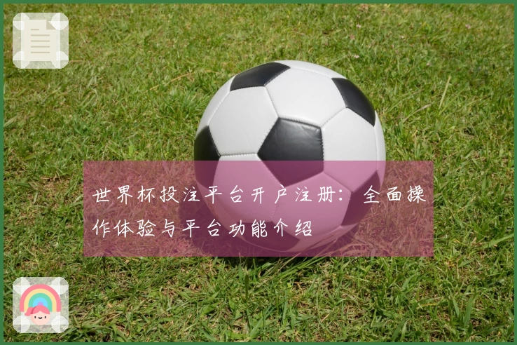 世界杯投注平台开户注册：全面操作体验与平台功能介绍